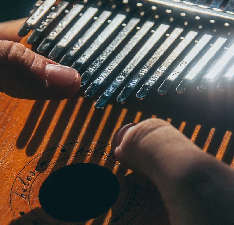 Best Kalimba Instruments