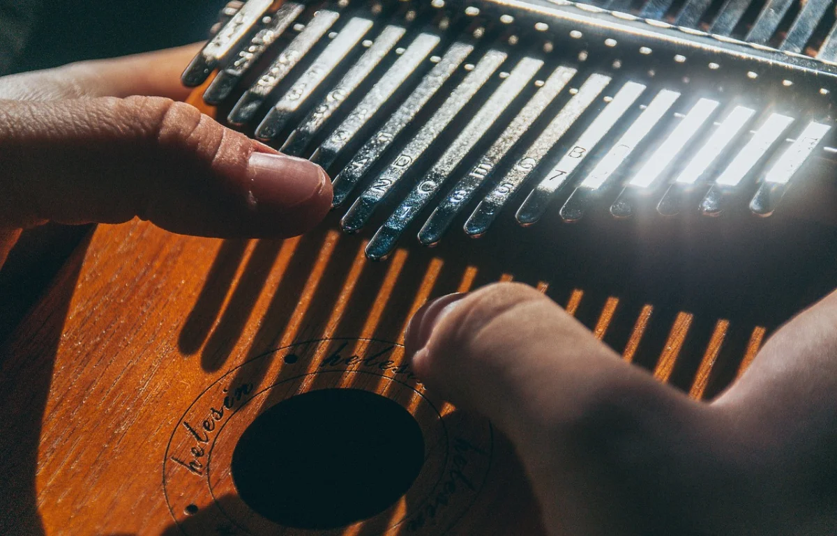 Best Kalimba Instruments